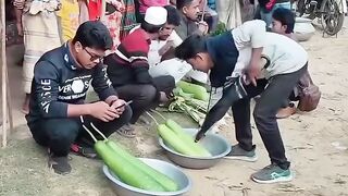 Funny video short