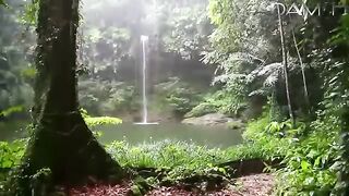 عامر الكاظمي سوره مريم - تجويد حزين جدا