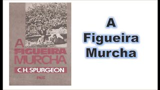 A figueira murcha - capítulo 03 - fim