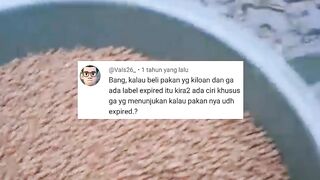 Resiko beli pakan pelet secara eceran/ketengan