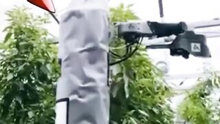 The Robot That Will Replace Farmers! Japan’s AI Crop Mastermind