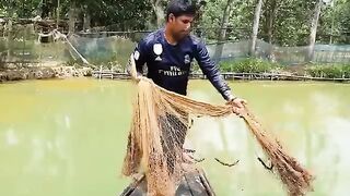Pond Fishing