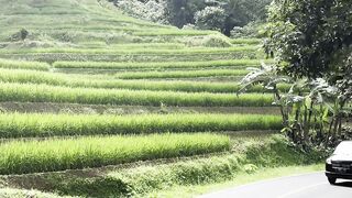 Indah oemandangannya, jalannya juga mantap