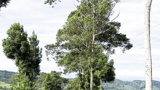 Cuacanya cerah banget