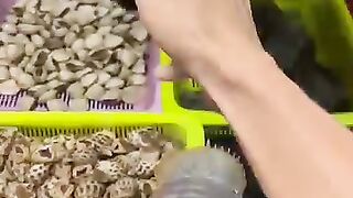 food trending
