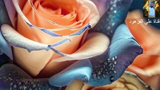 تلاوات خاشعه ومؤثرة من القرآن الكريم