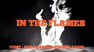 IN THE FLAMES