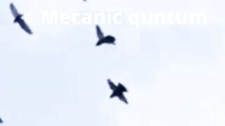 mecanic quntum