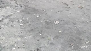 Прогулка с соней
