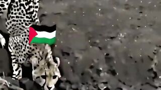 Only for khan dont watch it