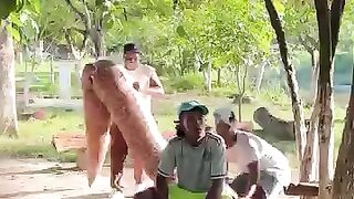Le jeunes garçons