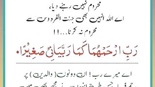 Shariat Ke Masail Seekhain