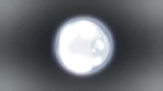 Gorilla no Kami kara Kago sareta Reijou wa Ouritsu Kishidan de Kawaigarareru Episodes 2
