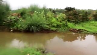 Canal Fishing