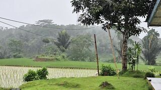 Tentram jauh dari kebisingan