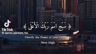 Vedio not mine; The Quran ????