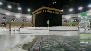فالقرآن صاحب لا يترك صاحبه حتّى يُدخله الجنّة ، ويرفعه درجاتٍ في الدُّنيا????
