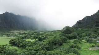 Nature View via drone