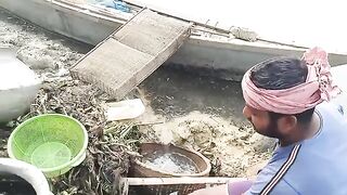 Fantastic Fishing