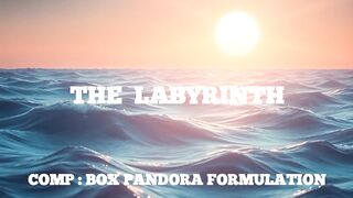 THE LABYRINTH