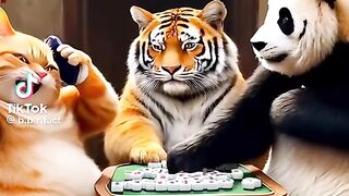 Funny video
