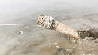 New Hook Fishing