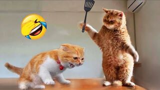 Funniest Animals 2023 ???? New Funny Cats and Dogs Videos ???????? Part 1