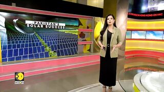 Pakistan Becomes Biggest Solar Panel Importer - World News - WION Climate Tracker.