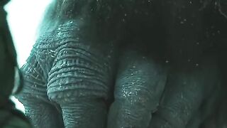 The soldier negotiated peace terms with the mother insect.2025
