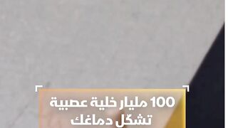 … شبكة هائلة من الأسلاك الدقيقة، تتواصل بسرعات مذهلة، وتنسق كل فكرة،