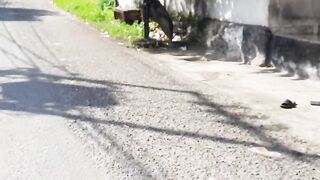 Jalan jalan lagi