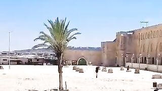 VID-20250414-WA0028