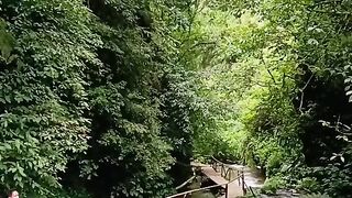 very distinctive natural sound