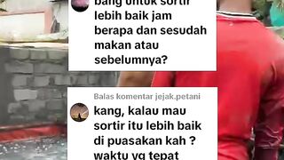 Kapan waktu SORTIR yang tepat, sesudah atau sebelum diberi makan