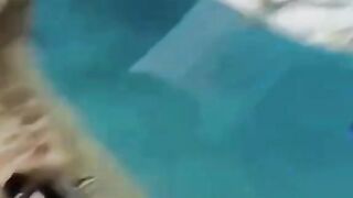 Interesting penguins ????