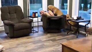 Gold Retriever Loving