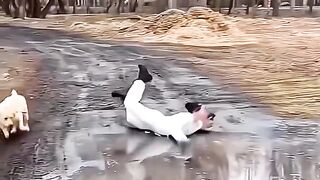 How was your walk today?