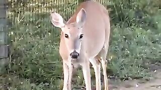 Beautiful