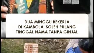 kamboja viral