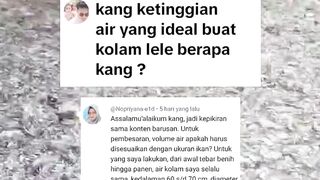 Penjelasan lengkap tentang ketinggian air kolam segmen pembesaran