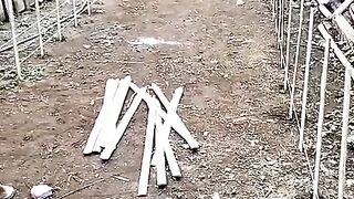 PROSES PEMBUATAN KOLAM PEMBENIHAN LELE