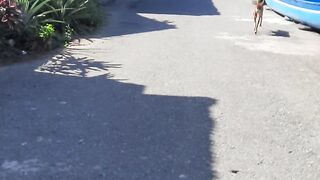 Jalan bareng dog