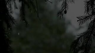 musique douce relaxante