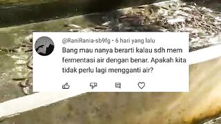 Kalau sudah melakukan pemupukan air kolam, berarti tidak perlu lagi ganti air kolam❗