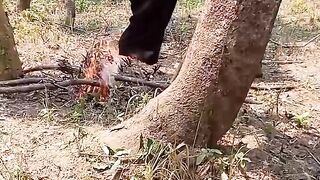 A young man is suspected of being a Inhabitant Rohingya Burned by members of the Myanmar military in