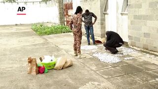Belgian teens arrested with 5,000 smuggled ants in Kenya.