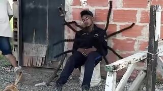 فيديو مضحك