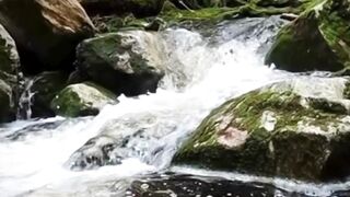 Beautiful nature
