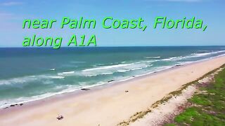 Palm Coast- Florida