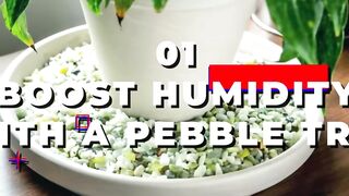 STOP Gardening the Hard Way! 50 Amish Secrets That Make It So Much Easier